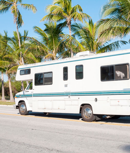 White RV driving down a sunny road lined with palm trees.